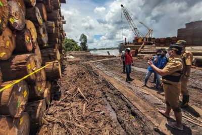 FOTO: Penyegelan Ribuan Kayu Log di Kalteng