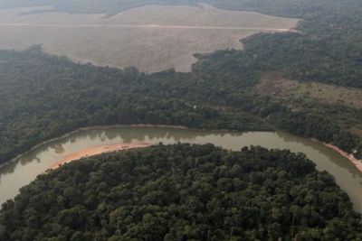 Delegasi Amazon Meluncurkan Kampanye untuk Cegah Deforestasi pada Amazon!