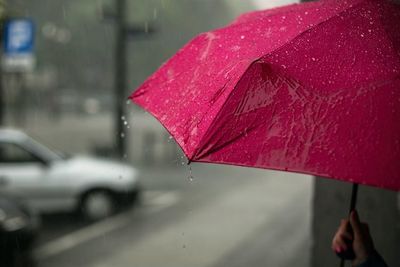 BMKG: Sejumlah Wilayah Indonesia Berpotensi Hujan Ringan, Termasuk Medan