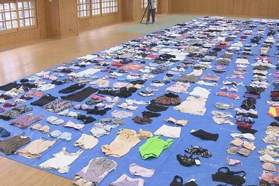 Kakek di Jepang Ini Curi 700 Celana Dalam Wanita, Akhirnya Diciduk Polisi