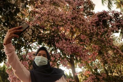 FOTO: Bunga Tabebuya Bermekaran di Alun-alun Jombang