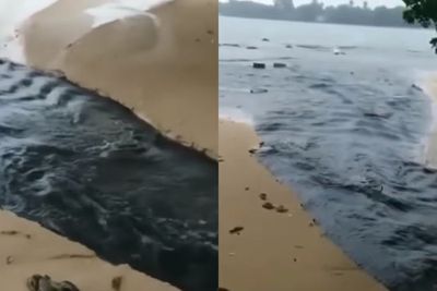 Duh! Tambak Udang di Carita Pandeglang Diduga Buang Limbah ke Laut, Banjir Kecaman Netizen
