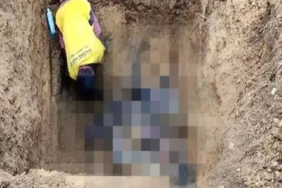 Kejam! Lebih dari 100 Anjing di India Dikubur Hidup-hidup, Pelakunya Masih Misterius