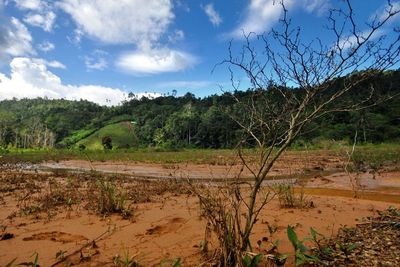 FOTO: Lahan Pertanian Terdampak Limbah Tambang Emas