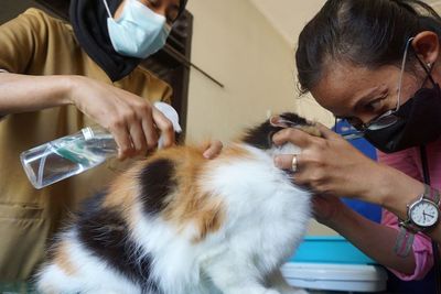 FOTO: Vaksinasi Rabies Hewan Peliharaan di Tulungagung