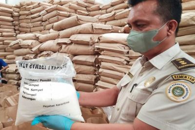 Salut, Ekspor Kelapa Parut Sumut Terus Meningkat, Tembus 200 Miliar Lebih