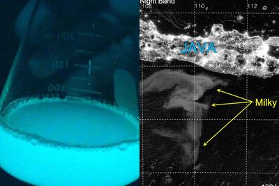 Peneliti Amerika Serikat Menemukan Fenomena Laut Bercahaya di Laut Selatan Jawa!