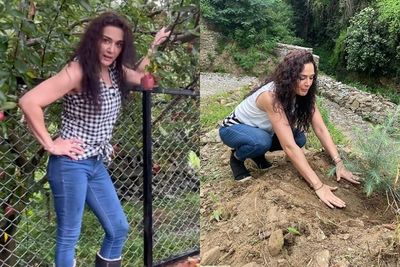 Lama Tak Tampil di TV, Preity Zinta Kini Lebih Suka Jadi Petani & Menanam Apel di Kebunnya