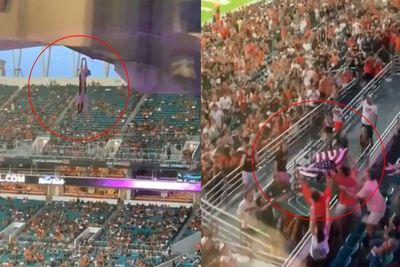 Viral Penyelamatan Kucing Jatuh dari Tribun Stadion, Ditampung Pakai Bendera Amerika
