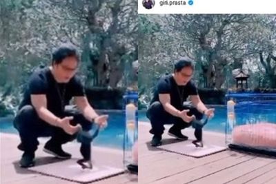 Ramai Dikecam karena Pelihara Satwa Langka, Bupati Badung Serahkan Owa Siamang ke BKSDA