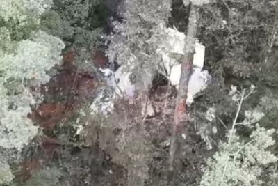 Beredar Video Penemuan Pesawat yang Hilang Kontak di Papua, Tim Langsung Menuju TKP