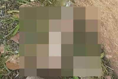 Cium Bau Tak Sedap, Tukang Kebun Ini Malah Temukan Toples Berisi Penis Manusia