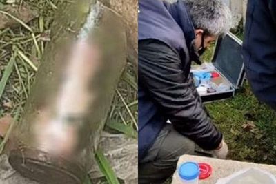 Polisi Selidiki Kasus Penis Terpotong di Toples, Ternyata Kisah Dibaliknya Bikin Terharu