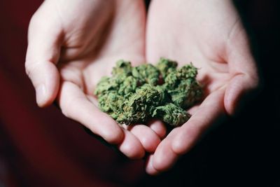 Nyamar Jadi Penumpang Angkot di Rawamangun, Polisi Ciduk Bandar Ganja