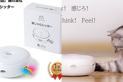 Jepang Hadirkan Robot Bulu untuk Menghibur Kucing!