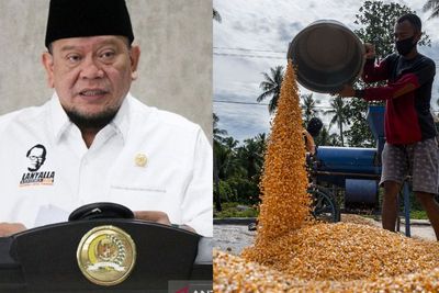 Ketua DPD RI Kritik Rencana Impor untuk Mengatasi Tingginya Harga Jagung