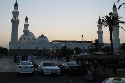 Ini Alasan Mengapa Arab Saudi Kini Larang Penanaman Pohon Palem!