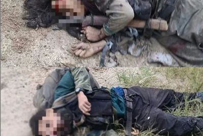 Kontak Senjata dengan Satgas Madago, 2 Teroris Poso Tewas, Salah Satunya Pimpinan MIT