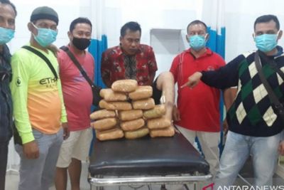 Ayah dan Anak Pengedar Ganja Pukul Polisi di Madina, Tulangnya Sampai Geser