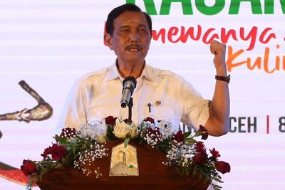 Diketuai Luhut Pandjaitan, Ini Tugas Tim Gerakan Nasional Bangga Buatan Indonesia