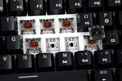 Mengetahui Perbedaan Warna Switch yang Ada di Keyboard Mechanical