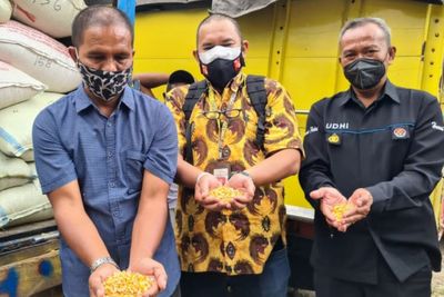 Presiden Jokowi Kirim 20 Ton Jagung ke Peternak yang Viral karena Bentangkan Poster