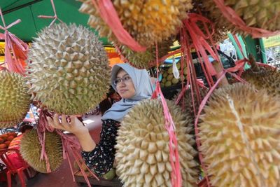 Ternyata Limbah Durian Bisa Jadi Perban Anti Bakteri, Ini Penjelasannya