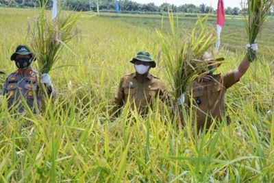 Serdang Bedagai Diharapkan Jadi Lumbung Padi Nomor Satu di Sumut