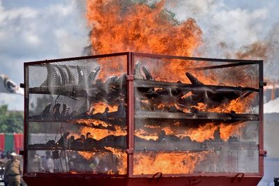 India Bakar 2.479 Cula Badak Ilegal Tepat di Hari Badak Sedunia