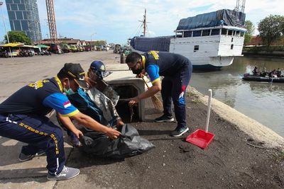 FOTO: Aksi Bersih-bersih Sampah di Pelabuhan Kalimas