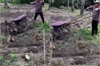 Kreatif! Petani Ini Modifikasi Sepeda Motor Bekas Jadi Alat Pembajak Sawah