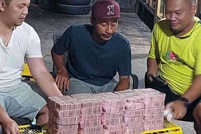 Viral Seekor Merpati Dibeli Rp 1,5 miliar di Pekalongan, Ini Penampakan Tumpukan Uangnya