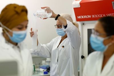Muncul Bukti Baru, Patahkan Teori Covid-19 Berasal dari Kebocoran Lab