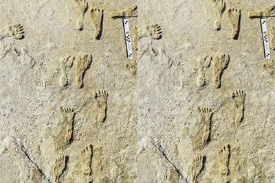 Peneliti Temukan Jejak Kaki Manusia Tertua di Dunia, Berusia Lebih dari 22.000 Tahun!