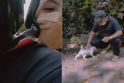 Aksi Cewek Quality Time Bareng Ayah dengan Kasih Makan Kucing Liar Ini Bikin Terharu