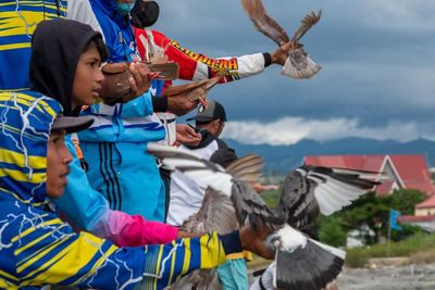 FOTO: Kontes Merpati Balap di Palu