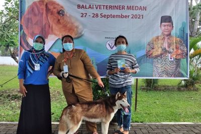 Tiga Kabupaten Penyumbang Kasus Rabies Tertinggi di Sumut, Provsu Masuk 5 Besar Indonesia
