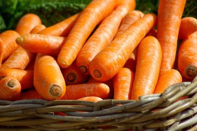 10 Makanan yang Bikin Awet Muda dan Mencegah Penuaan