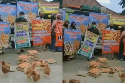 Picu Kerumunan, Aksi Peternak yang Bagi-bagi Telur Gratis di Blitar Raya Dibubarkan Polisi