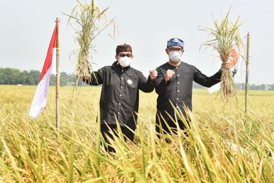 Hadiri Panen Raya di Jabar, PKS Kenang Kadernya yang Pernah Jadi Mentan