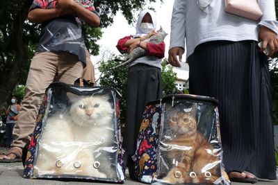 FOTO: Peringatan Hari Rabies Sedunia di Banyuwangi