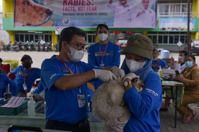 FOTO: Vaksinasi Rabies Gratis di Medan
