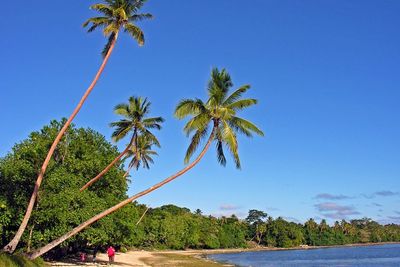Negara Vanuatu Mendesak PBB untuk Atasi Perubahan Iklim, Terancam Tenggelam!