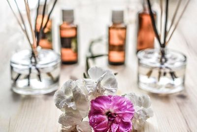 Tak Hanya Mempercantik Ruangan, 3 Tanaman Hias Berikut Mampu Mengharumkan Rumah Kamu!