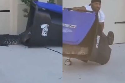 Greget Sekali! Pria Ini Berhasil Menangkap Buaya hanya Menggunakan Tong Sampah
