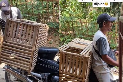Pedagang Ini Syok Lihat Ayam Pesanan Pembeli yang Dibawanya Hilang, Senyumnya Jadi Sorotan