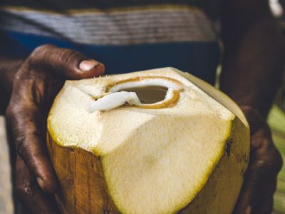 Benarkah Air Kelapa Bisa Menghilangkan Efek Samping Vaksin COVID-19?