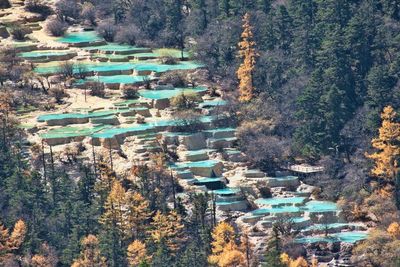 Ini Huanglong Scenic Area, Tempat Wisata Rumah Peri di Sichuan!