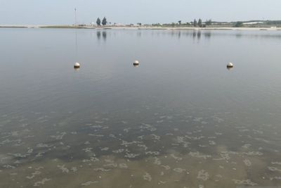 Pemprov DKI Uji sampel Air Laut Teluk Jakarta yang Tercemar Paracetamol Konsentrasi Tinggi