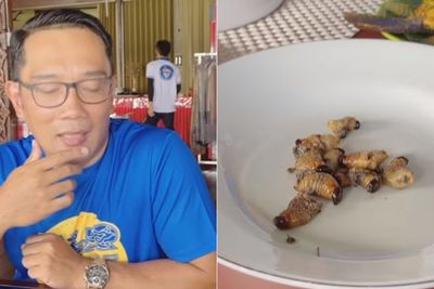 Ridwan Kamil Tantang Bima Arya dan Hengky Kurniawan Makan Ulat Sagu: Perintah Gubernur